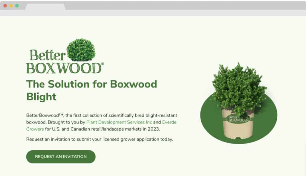 Better Boxwood Portfolio Cover